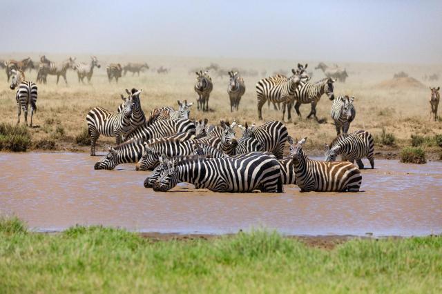 Tanzanie: africká dramata koloběhu života s českým průvodcem