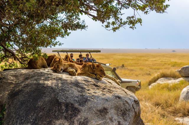 Tanzanie: africká dramata koloběhu života s českým průvodcem