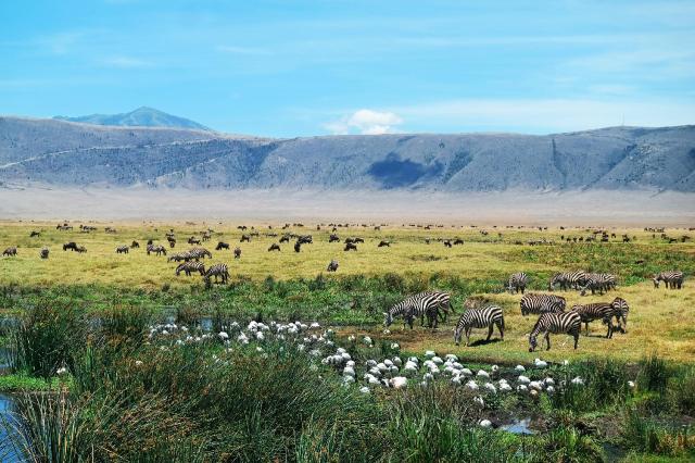Tanzanie: africká dramata koloběhu života s českým průvodcem