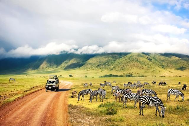 Tanzanie: africká dramata koloběhu života s českým průvodcem