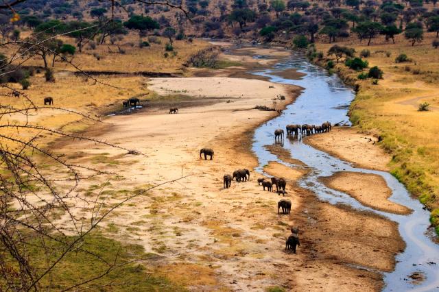 Tanzanie: africká dramata koloběhu života s českým průvodcem