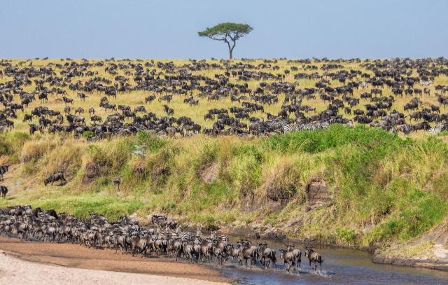 Tanzanie: africká dramata koloběhu života s českým průvodcem