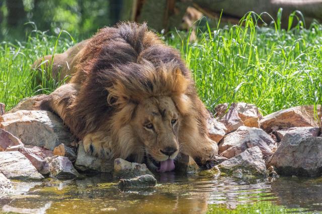 Tanzanie: africká dramata koloběhu života s českým průvodcem