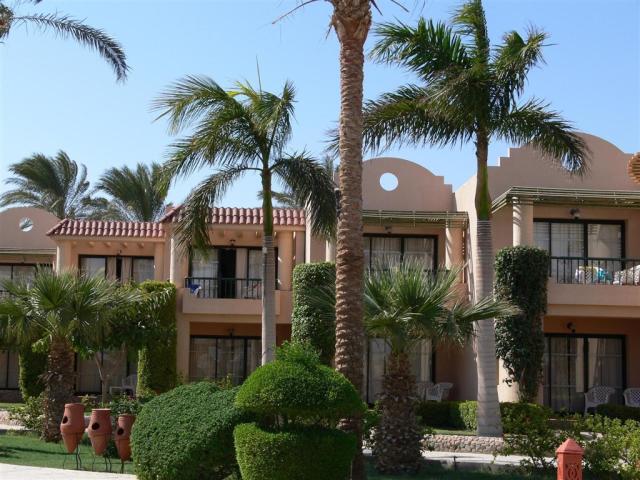 Zahrada v hotelu Ali Baba
