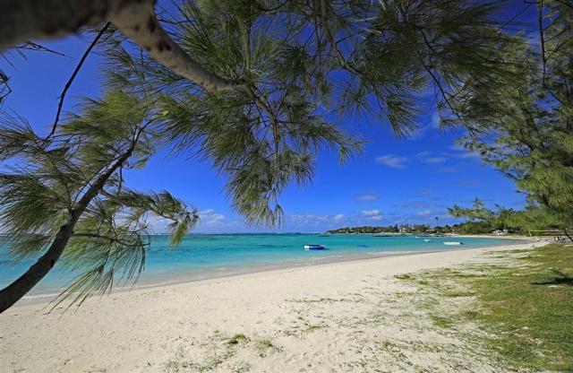 C Mauritius