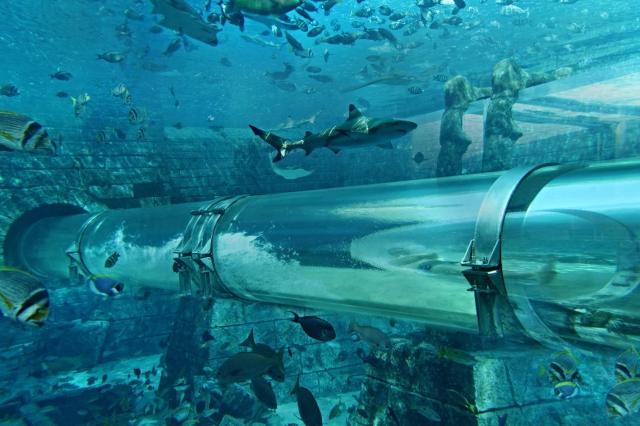 Atlantis The Palm