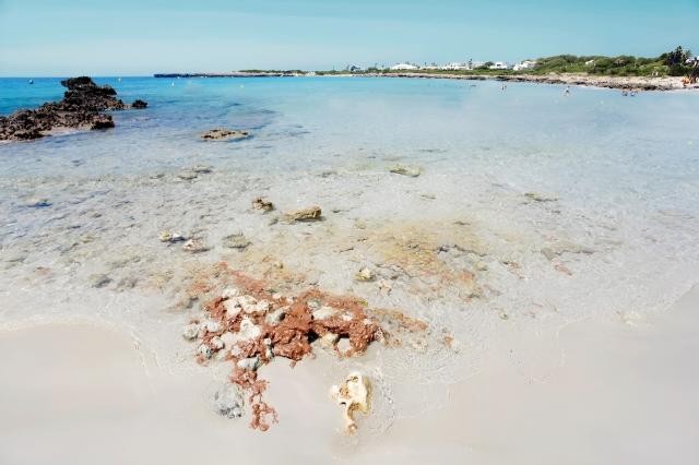 Grupotel Playa Club