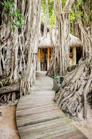 Beachcomber Le Canonnier