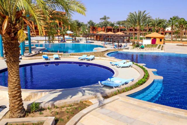 Calimera Blend Paradise