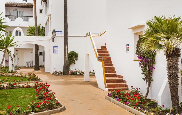 Globales Bouganvilla