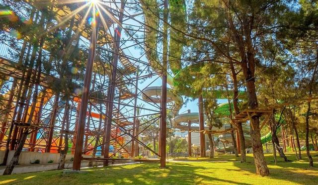 Long Beach Club Nature