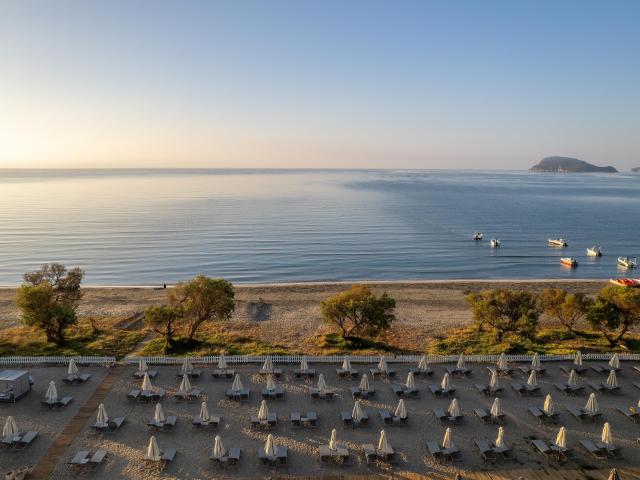 Domes Aulūs Zante, Autograph Collection