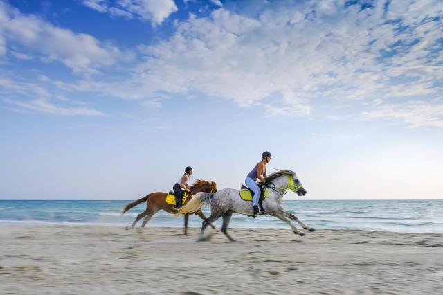 Aldiana Club Djerba Atlantide