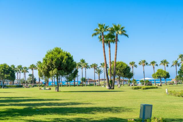 Barut Lara