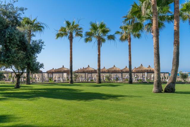Barut Lara