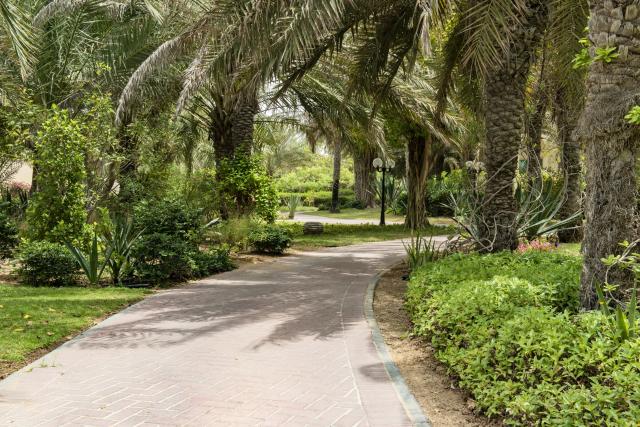 Umm Al Quwain Beach