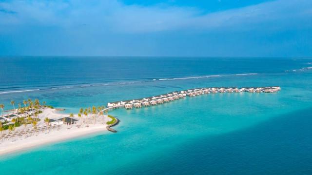 JOY Island