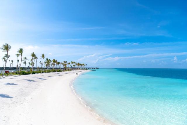 JOY Island