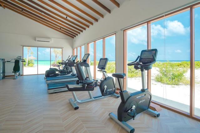 JOY Island