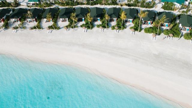 JOY Island