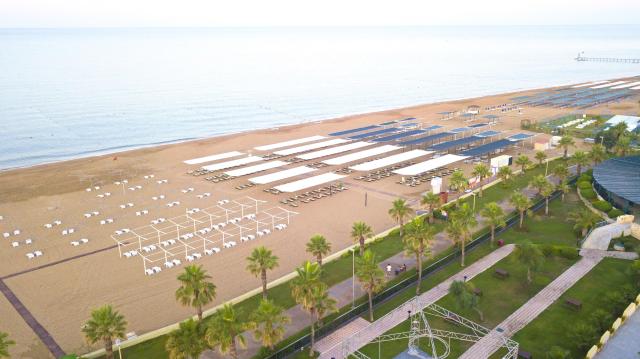 Hane Sun Elite