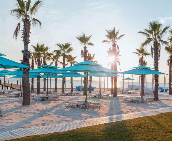 Regnum Carya