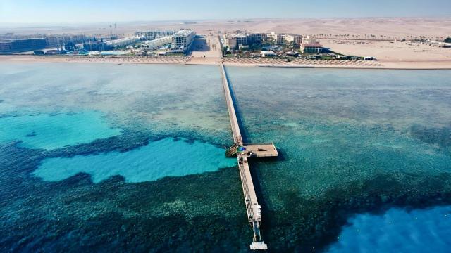 Gravity Sahl Hasheesh