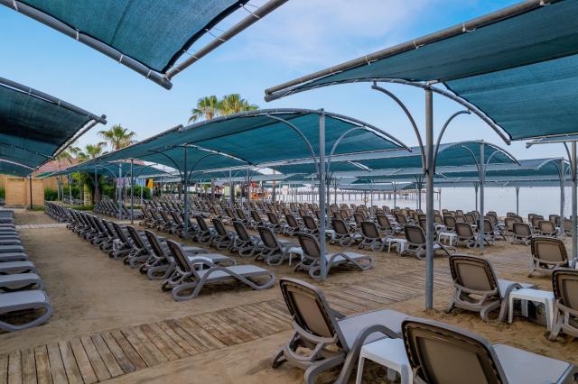Trendy Palm Beach