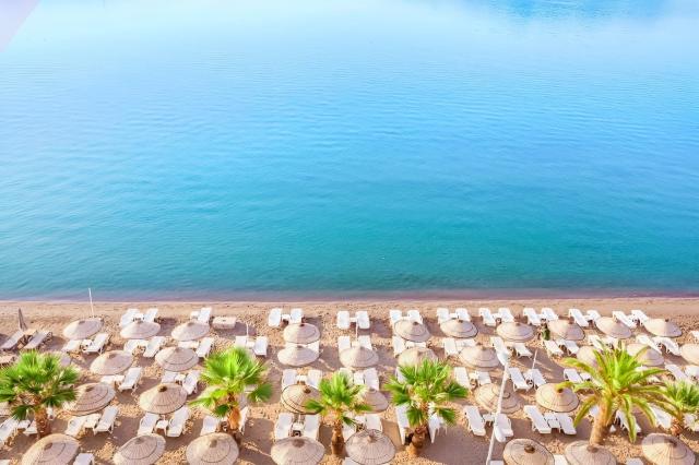 The Beachfront