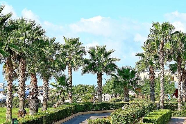 Aldemar Olympian Village