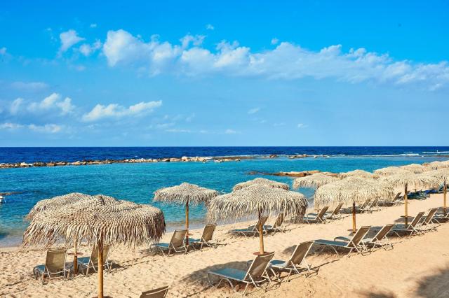 Mare Ayia Napa