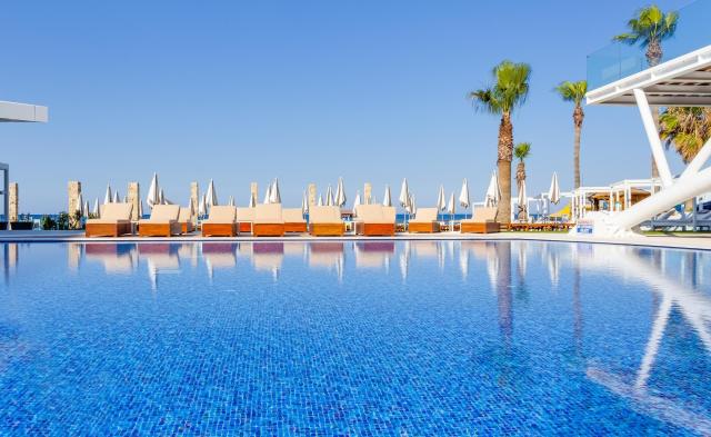 Flamingo Paradise Beach