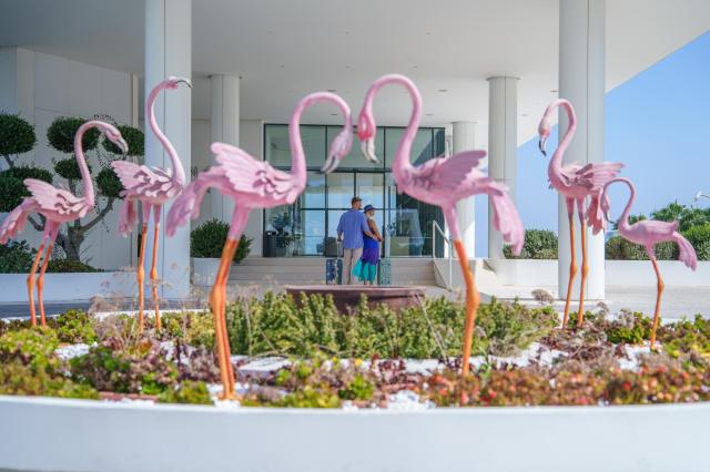 Flamingo Paradise Beach