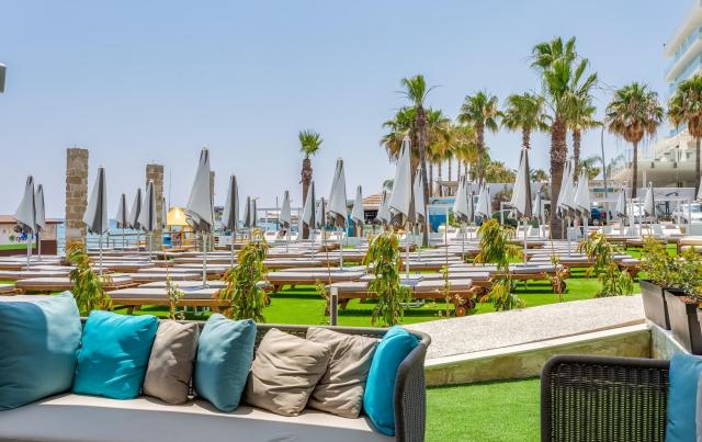 Flamingo Paradise Beach