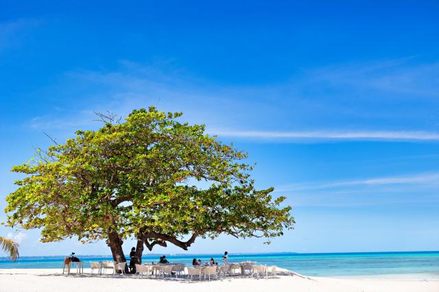 Bawe Island