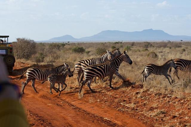 2 Dny Safari Tsavo East + Neptune Village