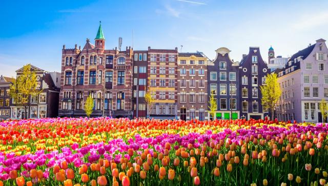 Ve víru tulipánů, větrných mlýnů a pralinek - Belgie a Nizozemí