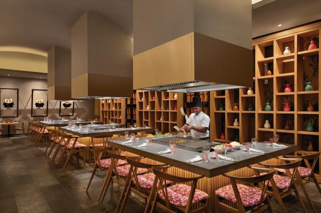 Hilton La Romana Adult