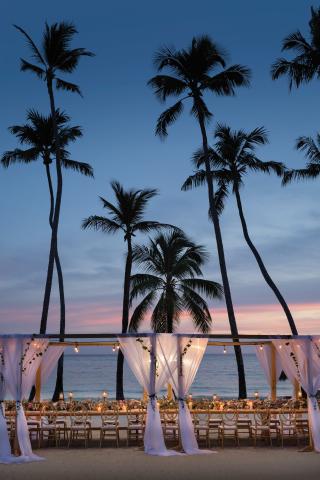 Hilton La Romana Adult