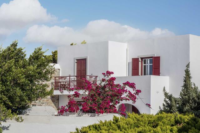 Naxos Palace