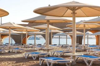 SRNTY Sahl Hasheesh
