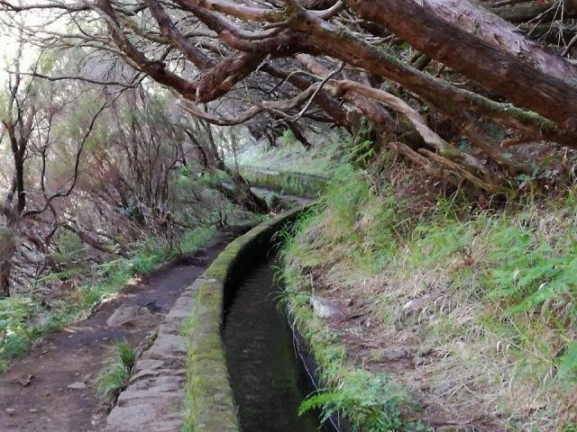 Madeira2