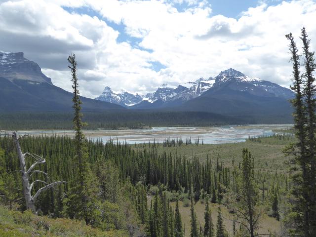 kanada 6