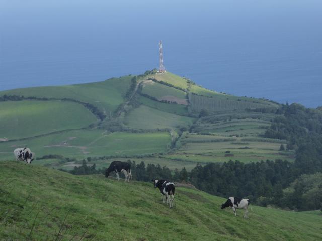 P1070199