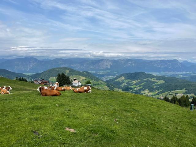 Nepojmenované24