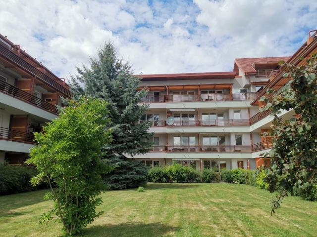 1cf8439c-af27-4c59-a8df-e79d477ca418