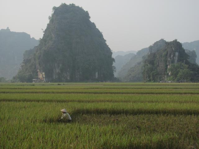 vietnam 562