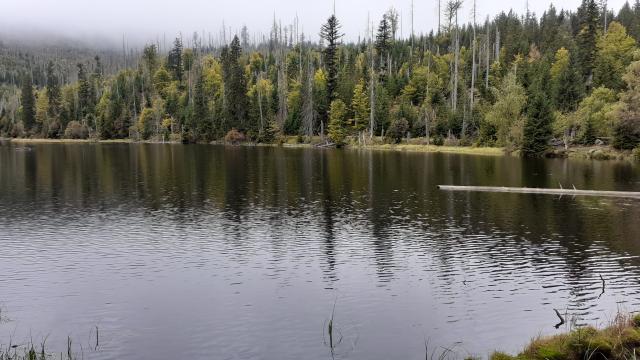 ZMIZELÁ ŠUMAVA II. - po stopách starých stezek a zaniklých osad