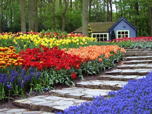 Keukenhof