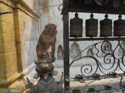 Kathmandu
